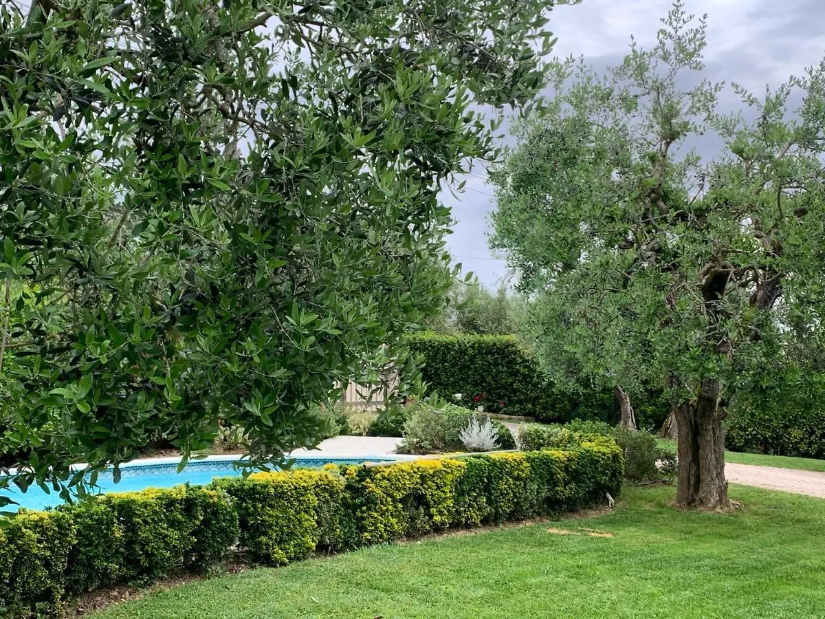 Locazione Turistica Casa Olivo Lejlighed Fucecchio