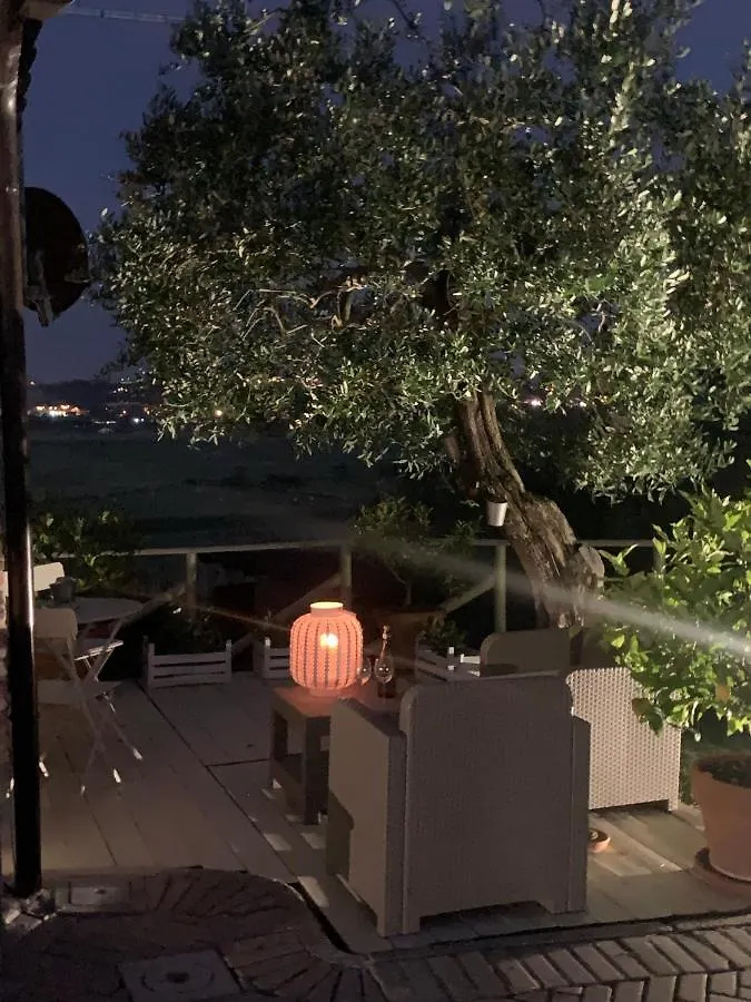 Locazione Turistica Casa Olivo Lejlighed Fucecchio