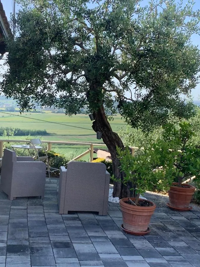 Locazione Turistica Casa Olivo Lejlighed Fucecchio 0*,