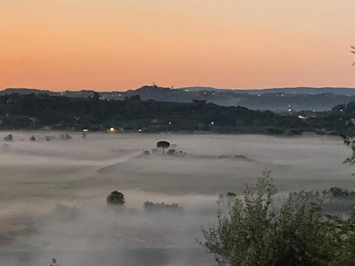 Locazione Turistica Casa Olivo Lejlighed Fucecchio