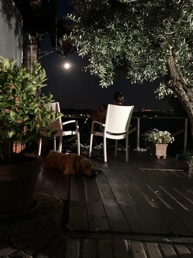 Locazione Turistica Casa Olivo Lejlighed Fucecchio 0*,